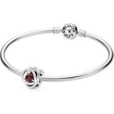 January Birthstone Eternity Circle Bangle Gift Set