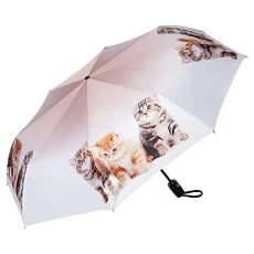 Folding Pocket Umbrella Automatic Lightweight auto Open Motif Women Cats Kittens Trio