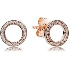 Forever Crystal Circle Earrings