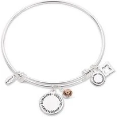 November Birthstone Bangle - Silver