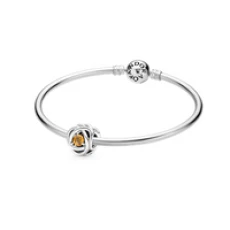 November Birthstone Eternity Circle Bangle Gift Set