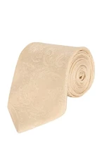 Mens Aspen Gold Paisley Tie Wedding